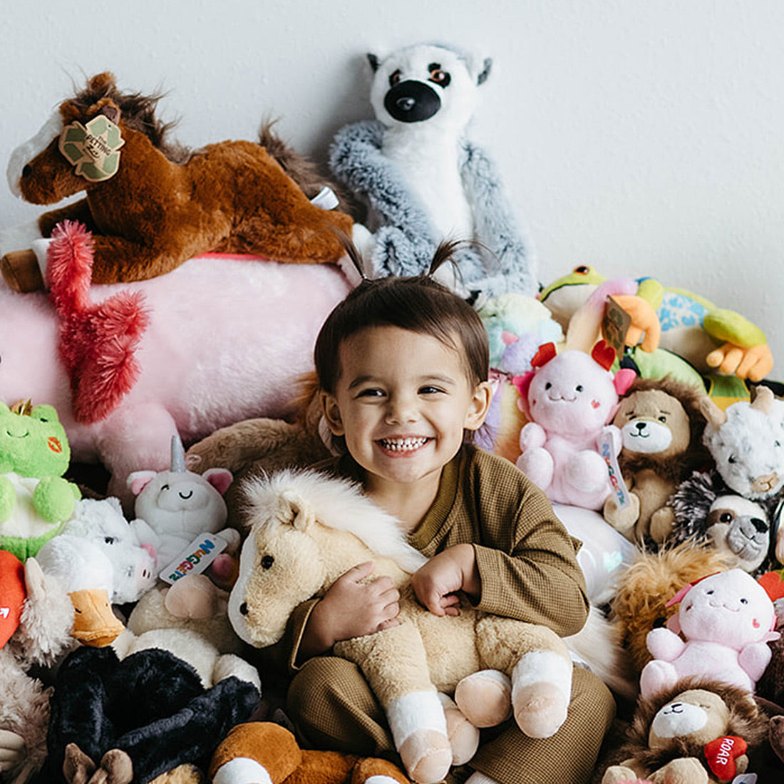 Collections – Zoologee