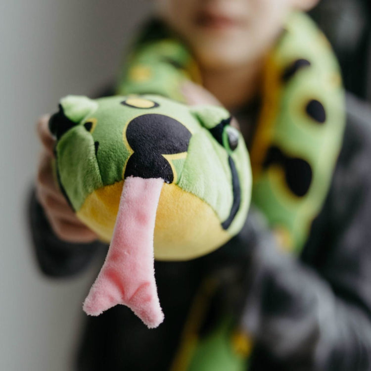 Reptiles & Amphibians